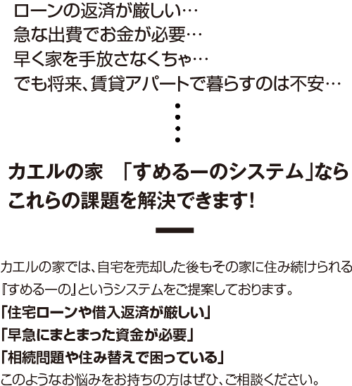 カエルの家「すめるーのシステム」ならこれらの課題を解決できます！